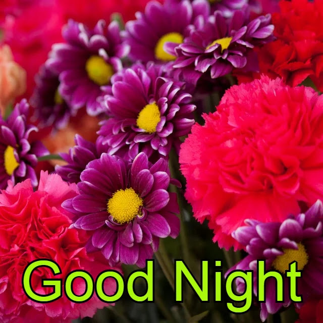 Good Night HD Images Good Night HD Images