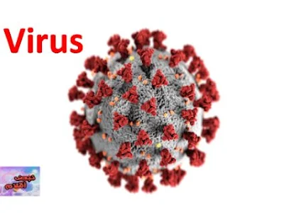 الفيروس virus