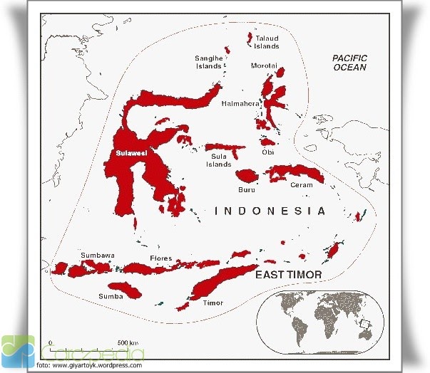Jenis jenis Flora Dan Fauna Tipe Peralihan di Indonesia Jenis jenis Flora Dan Fauna Tipe Peralihan di Indonesia