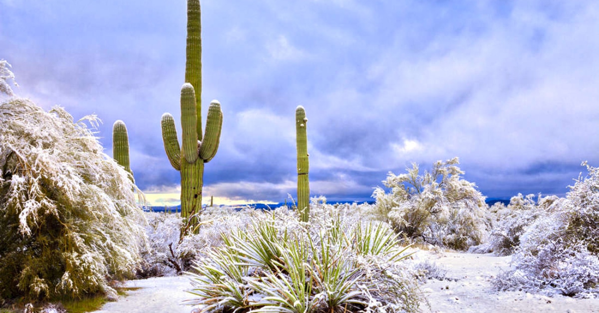 Rare Snowfall in Arizona Turned Rocky Desert Into Magical Winter Scenery Rare Snowfall in Arizona Turned Rocky Desert Into Magical Winter Scenery