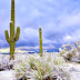 Rare Snowfall in Arizona Turned Rocky Desert Into Magical Winter Scenery