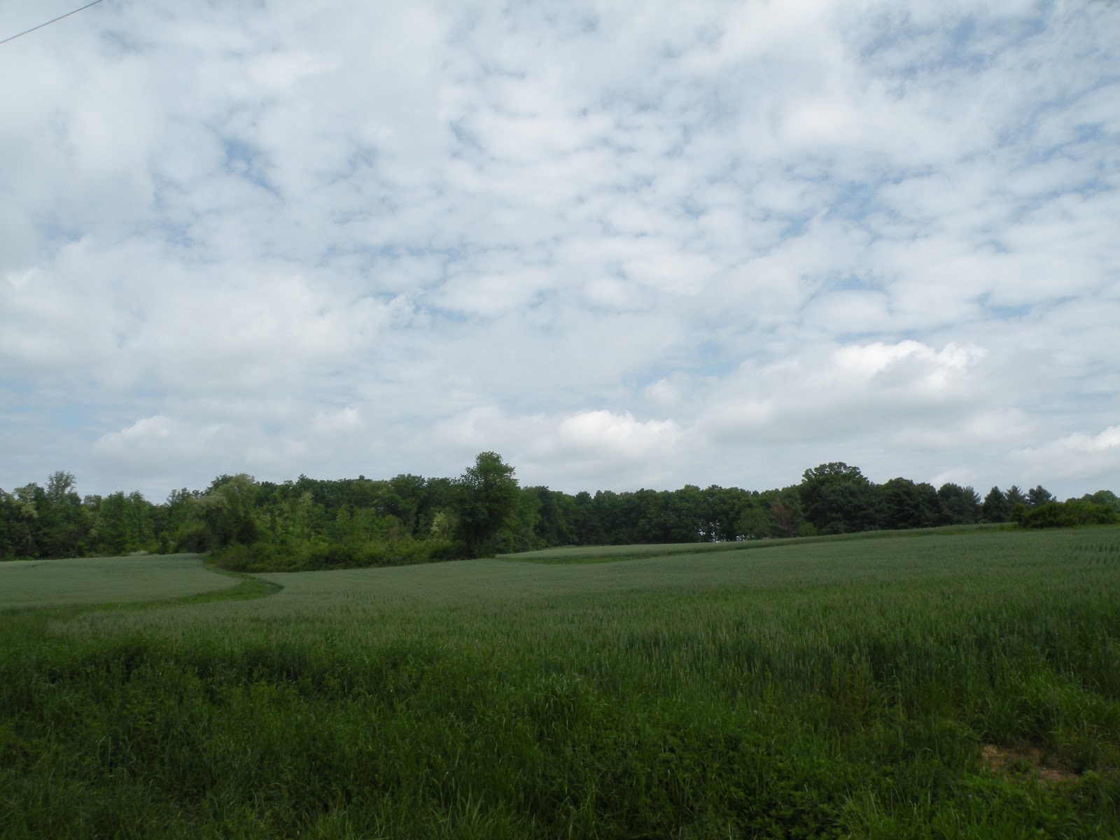 Will The Real Isaac Jones Please Step Forward? Hunting Creek, Surry