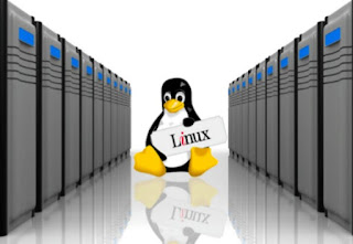 Linux VPS 