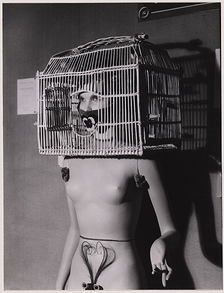 man%2Bray%2Bbird%2Bcage
