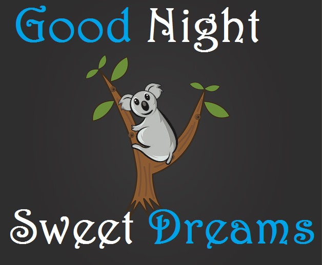 Beautiful Good Night Birds Images for Good Night Wishing Your Hop