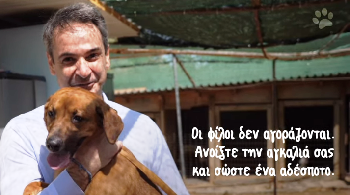 Σε καταφύγιο αδέσποτων ζώων ο Κυριάκος Μητσοτάκης:"Οι φίλοι δεν αγοράζονται Ανοίξτε την αγκαλιά σας και σώστε ένα αδέσποτο"(video) - EPIRUS TV NEWS