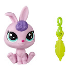 Littlest Pet Shop Lucky Pets Lucky Pets Fortune Cookie Gwynnie (#No#) Pet