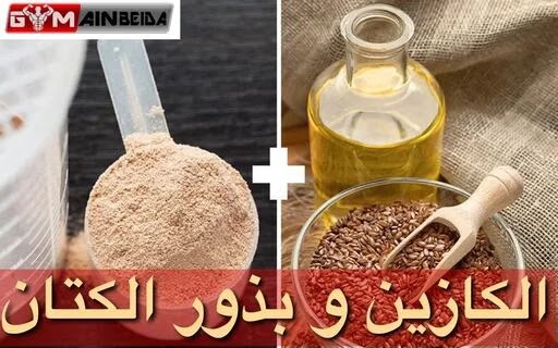 أفضل 6 وجبات غنية بالبروتين يمكنك