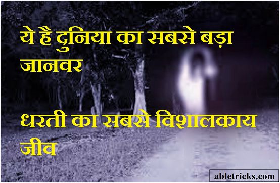 Duniya ka sabse bada Janvar Duniya ka sabse bada Janvar