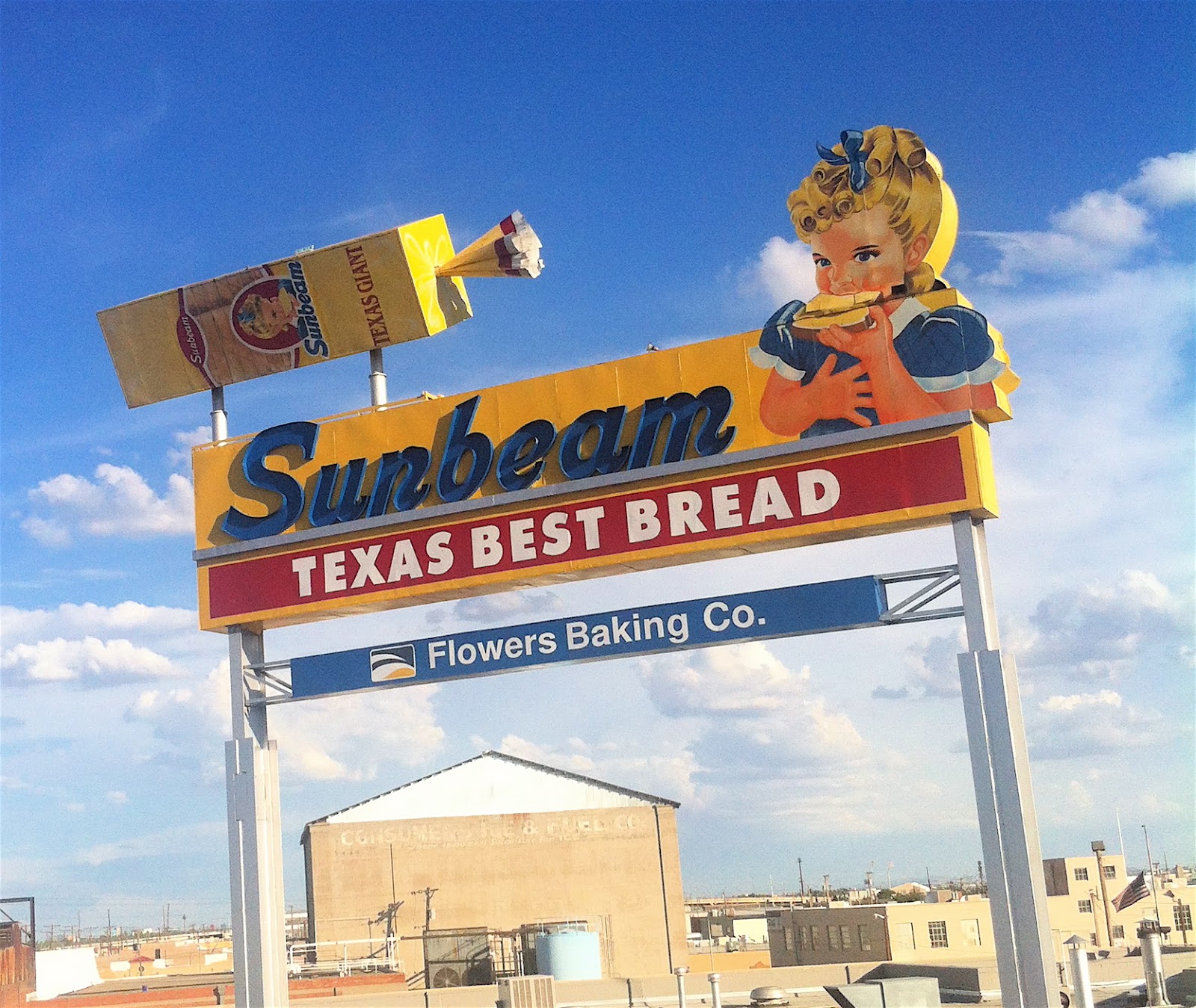 wacky tacky Signs of the Times The Neon Wonders of New Mexico