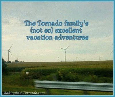 Family (not so) excellent adventures | www.BakingInATornado.com | #humor