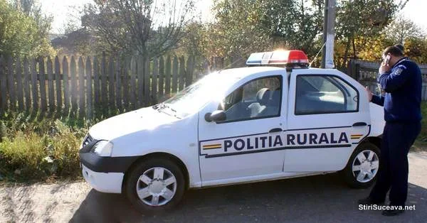Dosar penal și ordin de restricție față de un bărbat din Mălini care și-a amenințat partenera și a spart geamurile de la casă