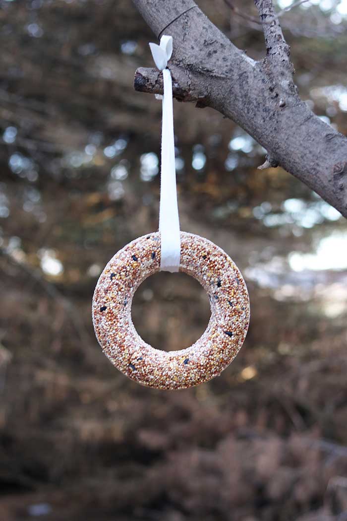 How to Make a Bird Seed Wreath Recipe Koti Beth