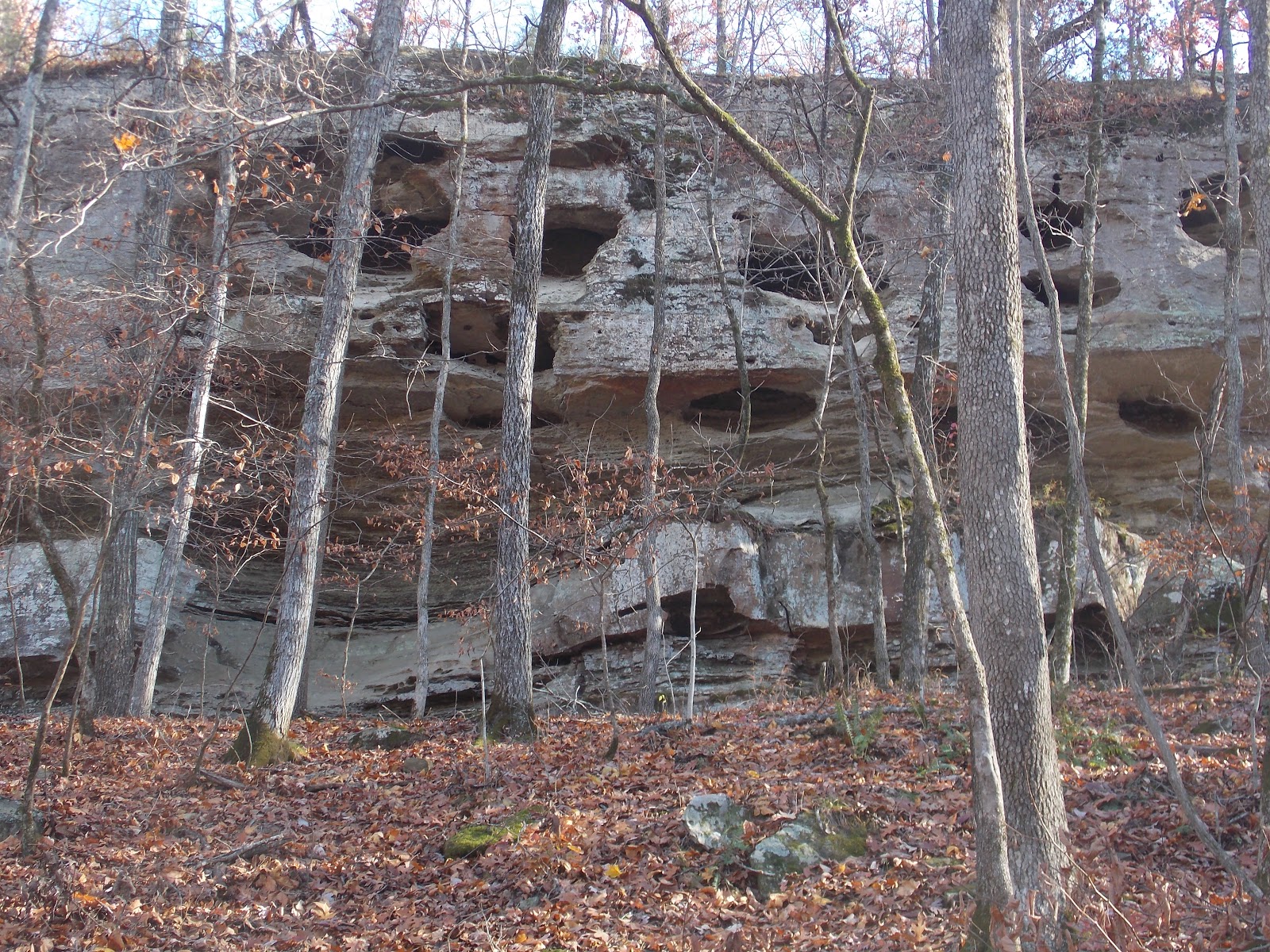 The Schramm Journey: Devil's Den State Park, Arkansas