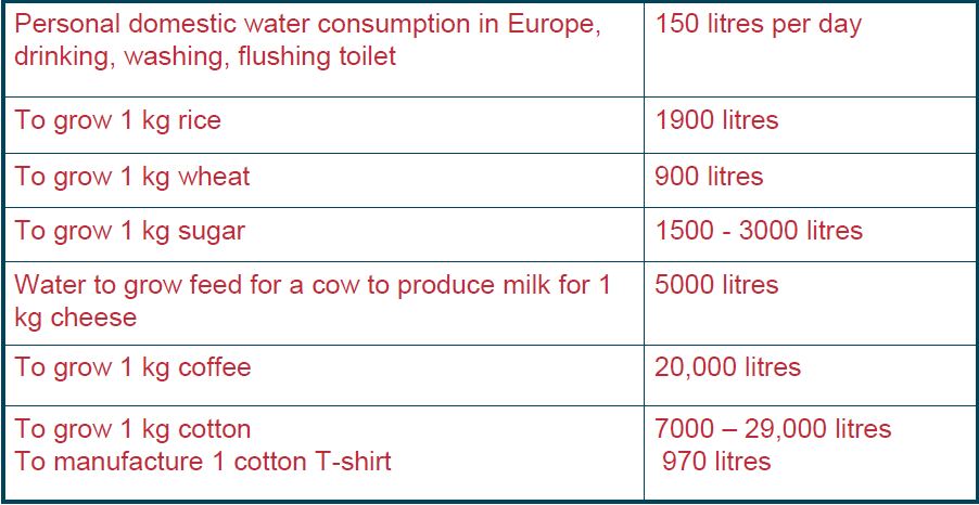 Personal Water Consumption Chart