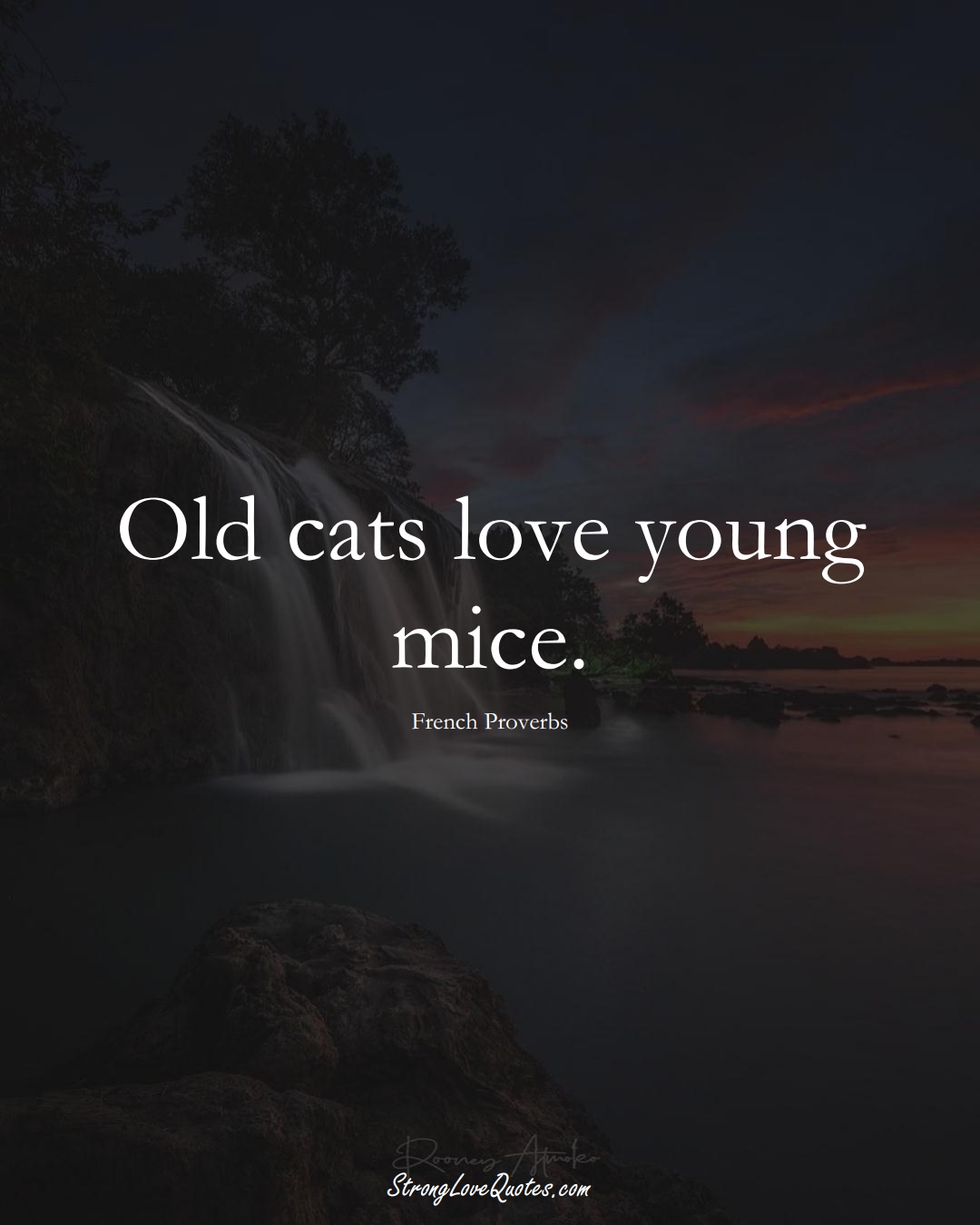 Old cats love young mice. (French Sayings);  #EuropeanSayings