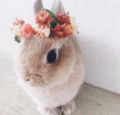 Pretty Rabbit flower crown