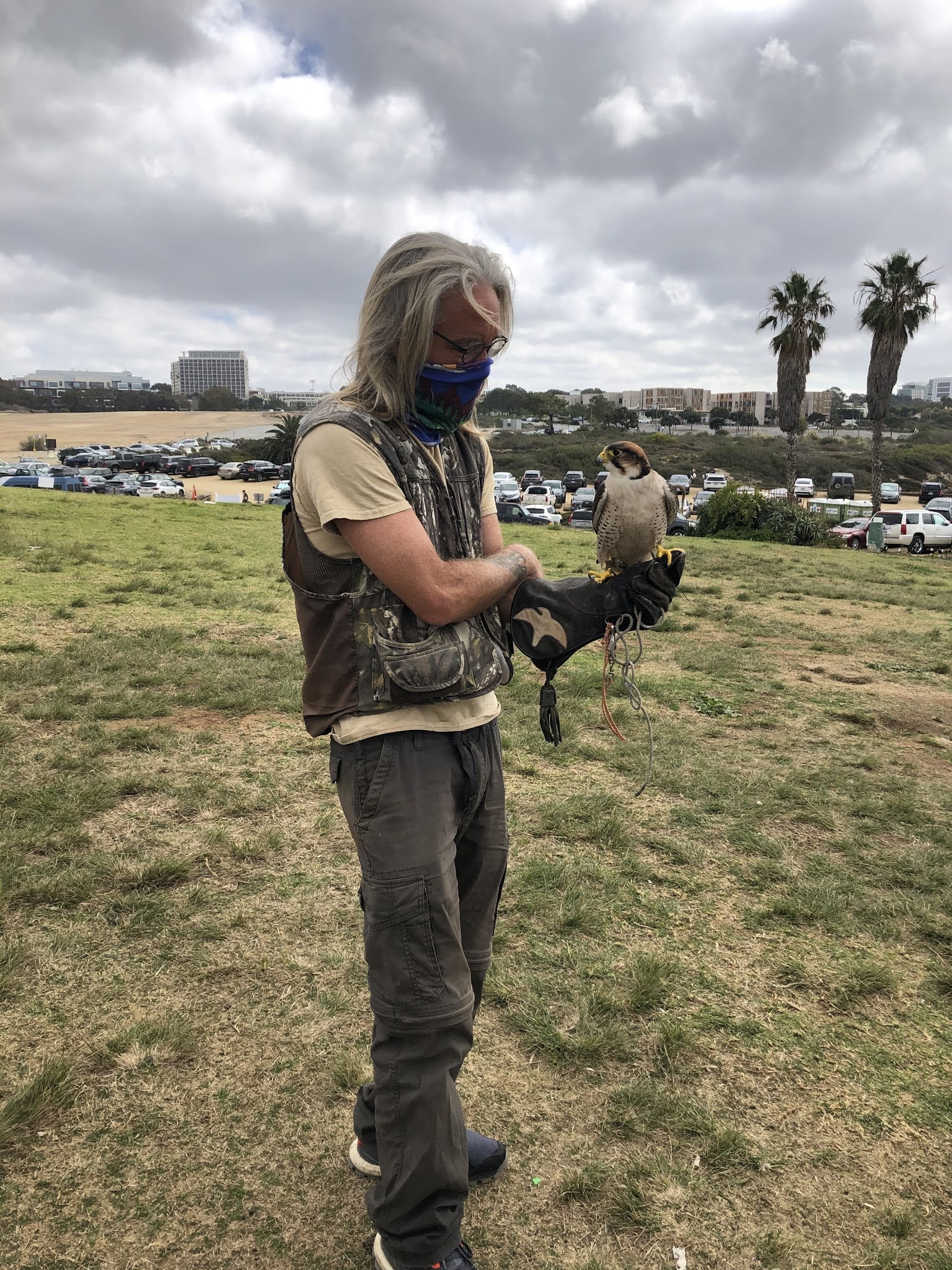 Falconry Experience in La Jolla