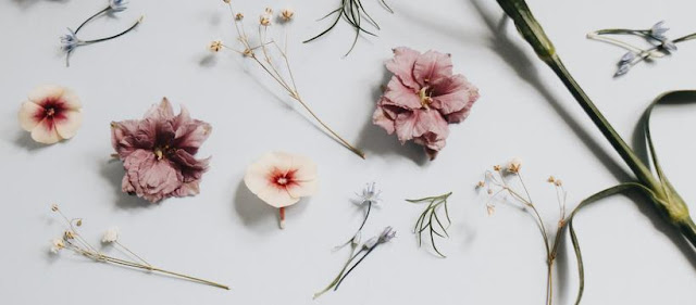 اغلفة فيسبوك واغلفة تويتر مختارة مداد الجليد