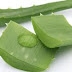 Obat Oles Herbal Untuk Ambeien thumbnail