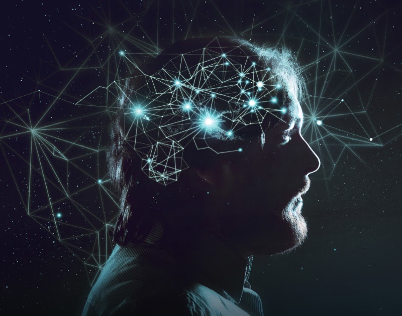 Neuropolítica para influir en los votantes Freight Ideas