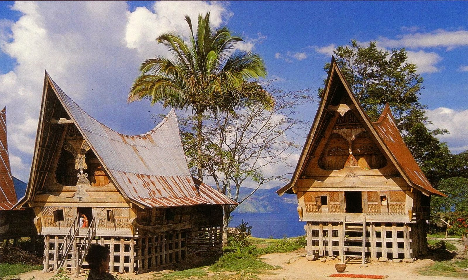 Kumpulan Gambar Rumah Adat Tradisional Suku-suku di Nusantara