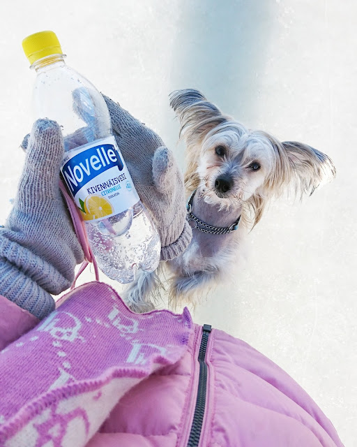 NOVELLE CITRONELLE Fitness & Lifestyle Blog Lola Pähkinämäki