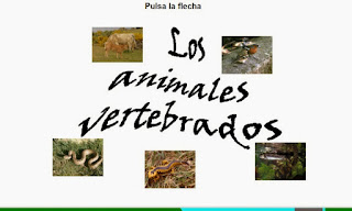 http://cplosangeles.juntaextremadura.net/web/edilim/curso_3/cmedio/animales_vertebrados_3/vertebrados/vertebrados.html