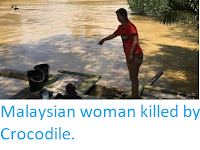 https://sciencythoughts.blogspot.com/2019/09/malaysian-woman-killed-by-crocodile.html