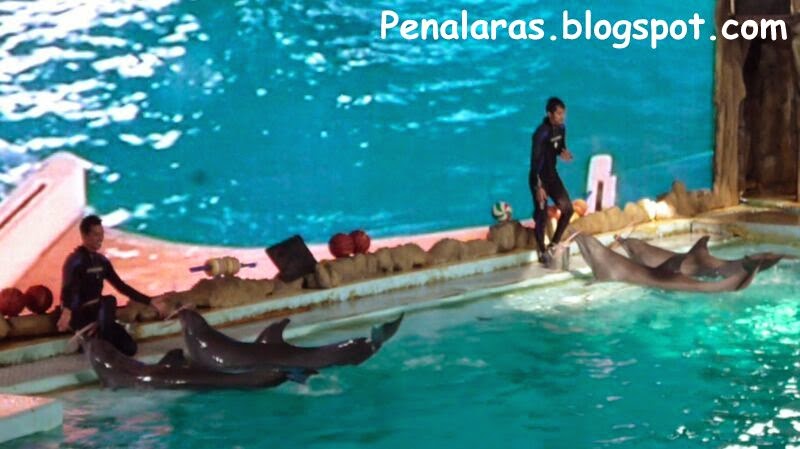 http://penalaras.blogspot.com/2014/05/berwisata-di-ocean-dream-samudra.html
