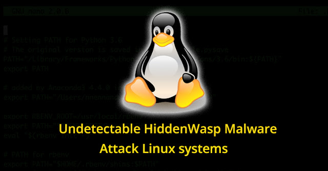 Hiddenwasp. Hiddenwasp.