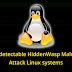 linux hiddenwasp malware