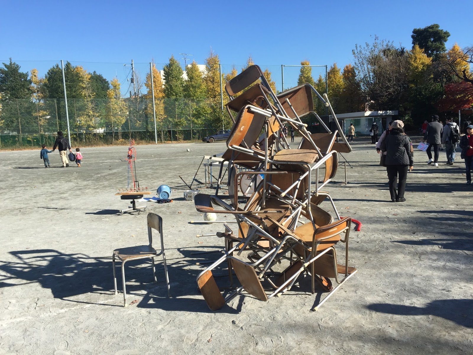 研究はサルが数学を知っていることを示している