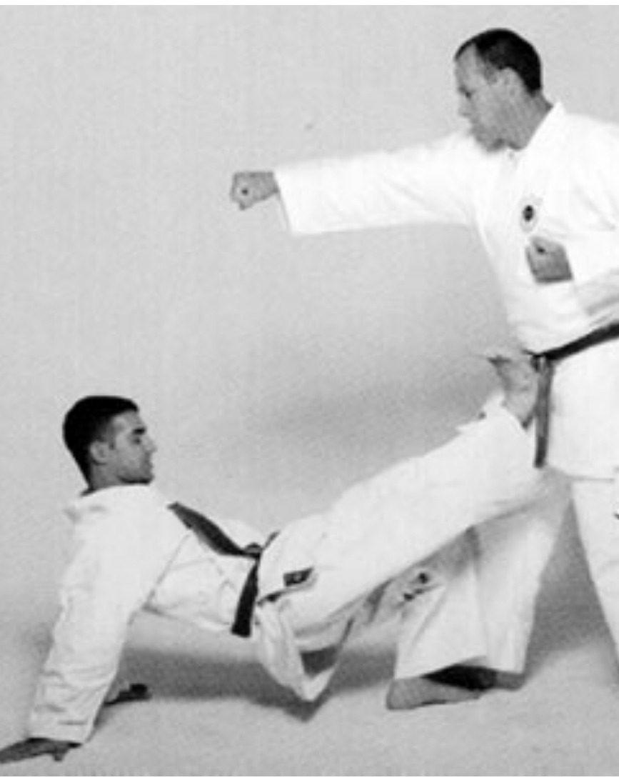 Karate Quick Guide Blogspot New Delhi