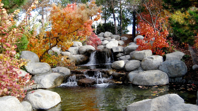 River Rocks Stones Stream And Waterwoods in Autumn Season HD Wallpapers River Rocks Stones Stream And Waterwoods in Autumn Season HD Wallpapers