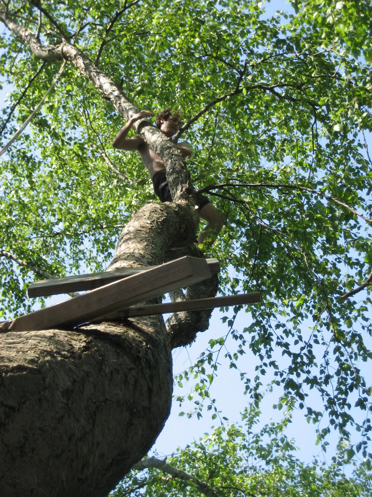 Slinging Ropes Up Trees Sarah Shearer: Rollin'on the (Buffalo) River