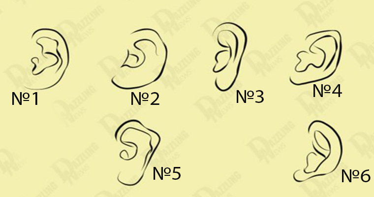 характер человека по ушам. форма ушей физиогномика. форма ушей и характер человека. характер человека по ушам. мочка уха и характер человека.