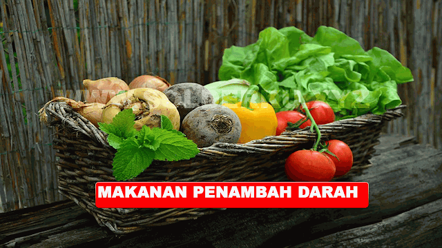 MAKANAN PENAMBAH DARAH ALAMI UNTUK IBU HAMIL