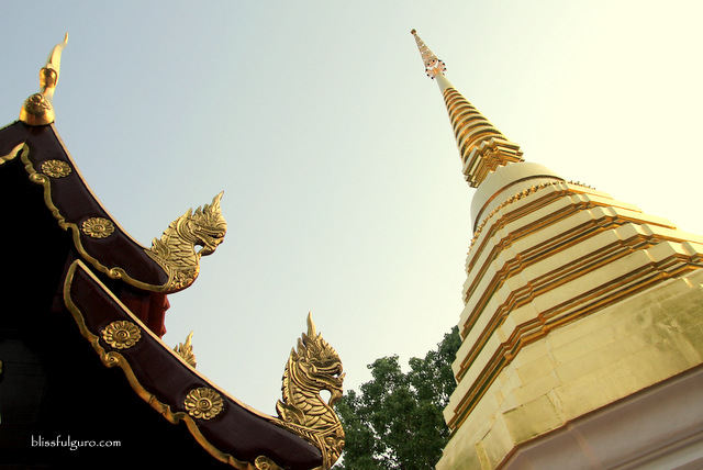 Chiang Rai Thailand Blog