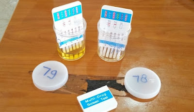 Sekitar 79 Pegawai Sekretariat DPRD Batam Jalani Tes Urine, Sisanya di Rumah Sekitar 79 Pegawai Sekretariat DPRD Batam Jalani Tes Urine, Sisanya di Rumah