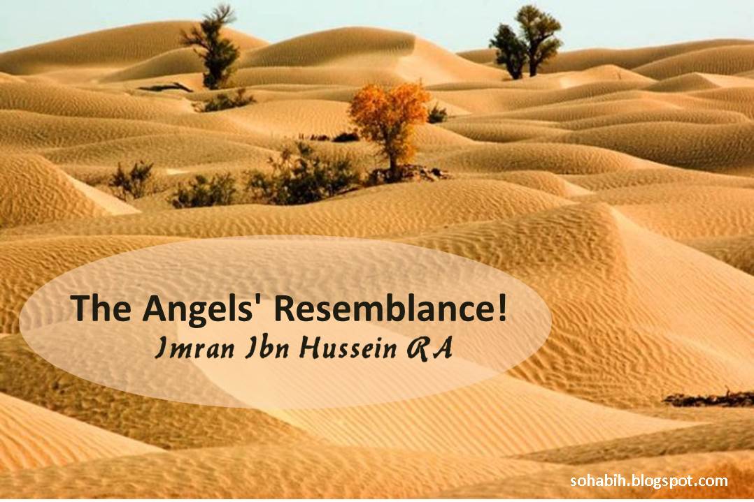 жаркая пустыня. караван верблюды барханы. песками пустыни песня. барханы и дюны. песками пустыни песня.