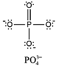 Lewis Dot Structure Phosphate Ion.