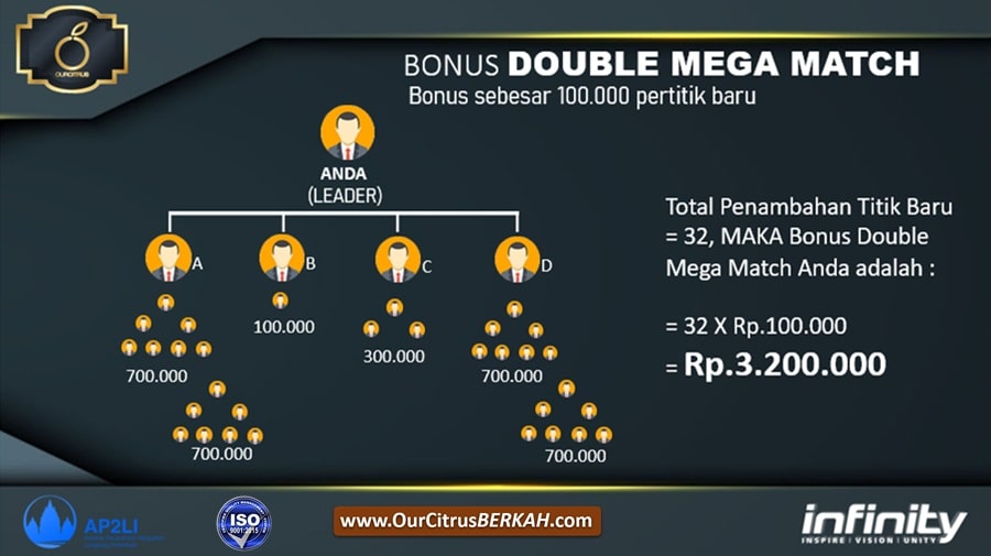 26.Marketing Plan Ourcitrus