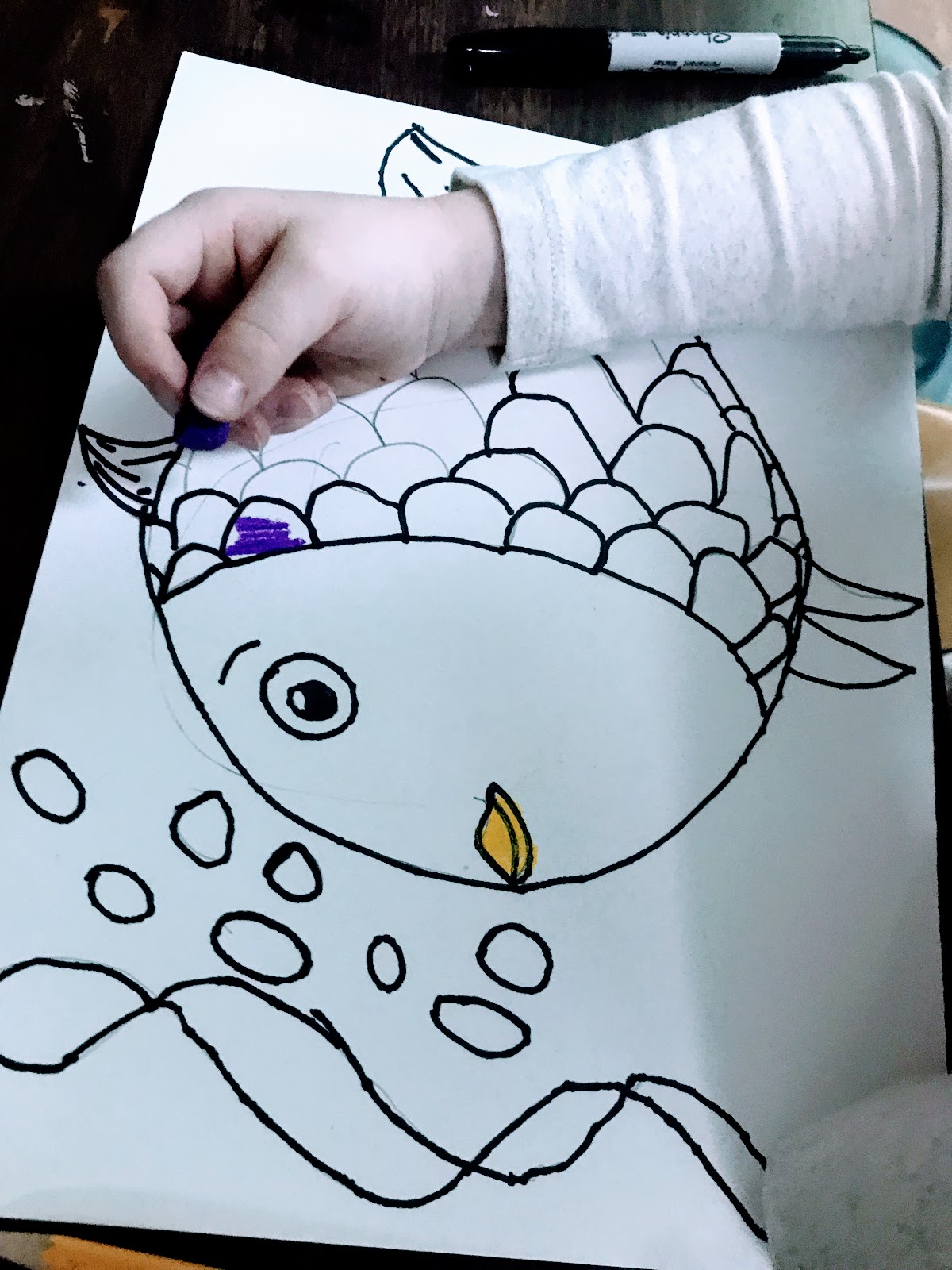 How To Draw Fish Easy, Rainbow Fish Drawing