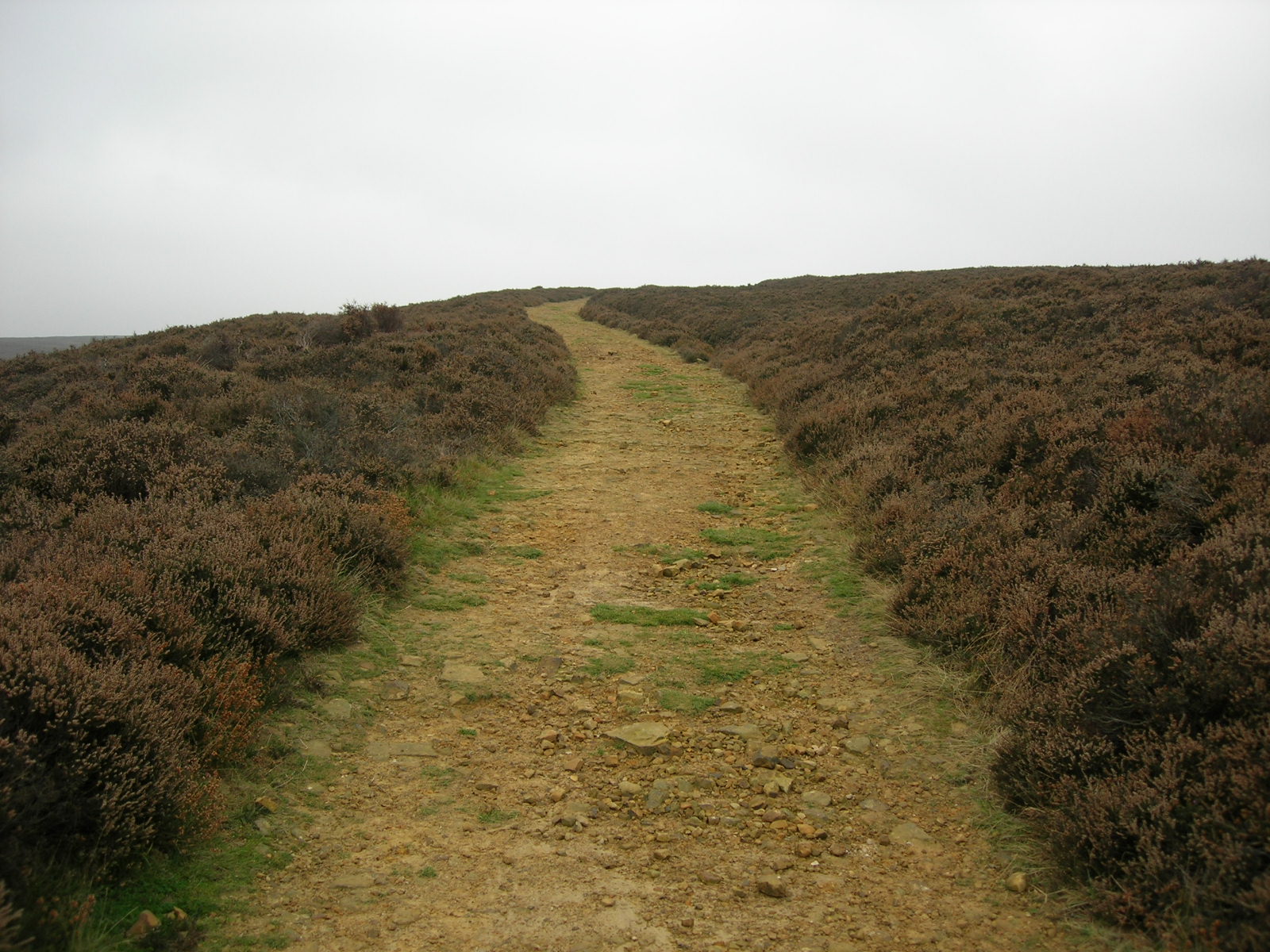 Out & About: Lastingham to The Lion Inn, Blakey Ridge, North Yorkshire.