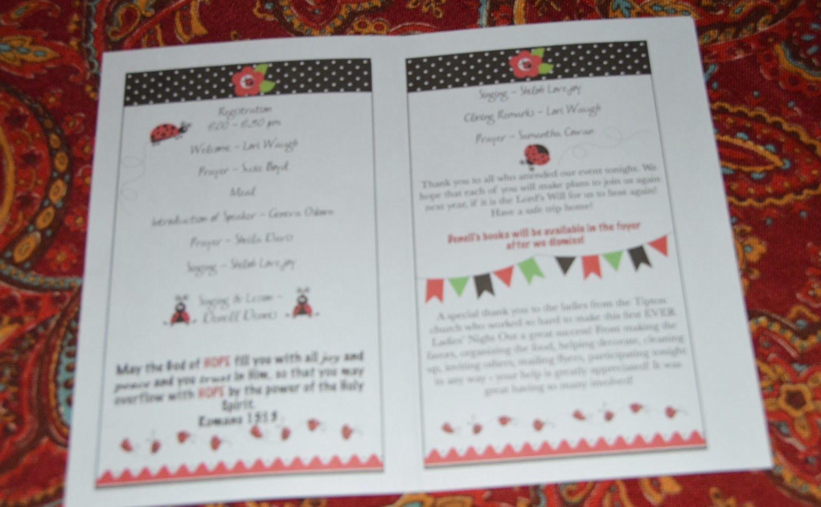 Shine Like Stars: Ladies Night Out 2014 - Lady Bug Theme