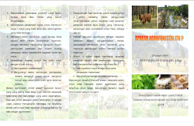 Leaflet Agroforestri penyuluh pertanian Sumenep nur fadhilah