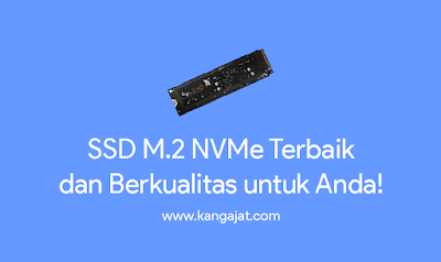 ssd m.2 nvme terbaik