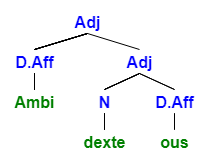 morphology answers english ambidextrous part tree draw each