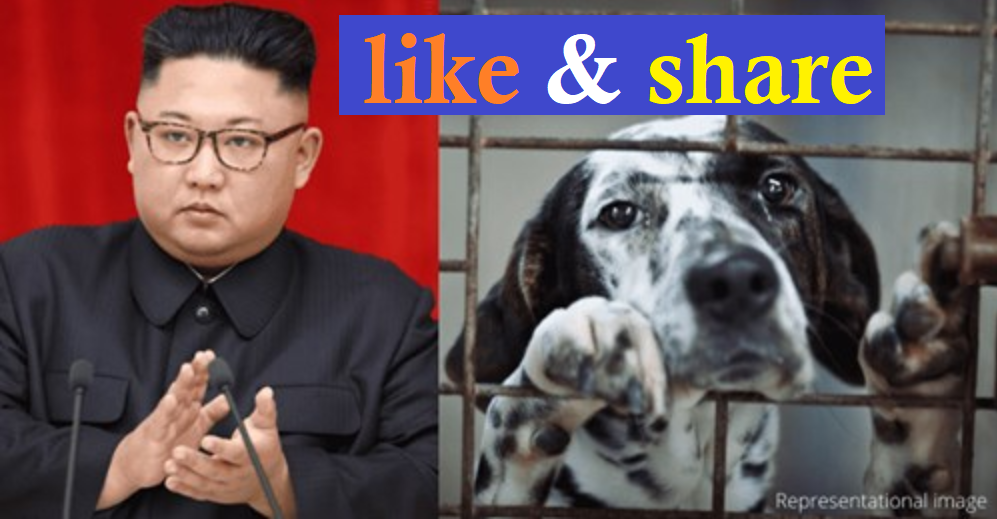 Kim Jongun forces people to give up their pet dogs to be used as